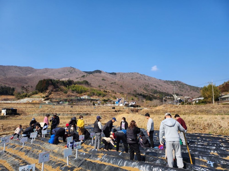 삼거동 청사초롱마을 도시민과 함께하는 공유농업 인기1.jpg