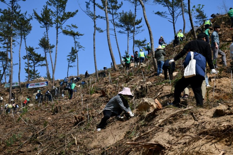 사진(거제시 제78회식목일기념행사개최) (1).jpg