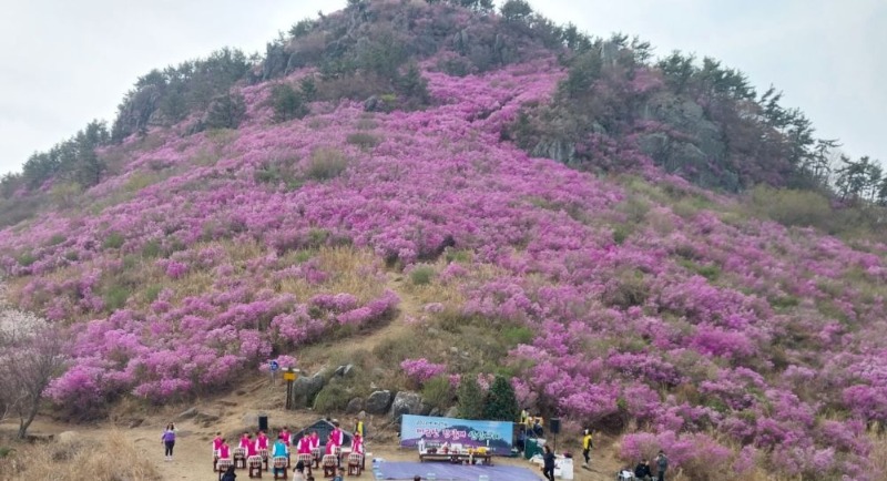 사진(2023년 대금산 진달래 산신제례).jpg