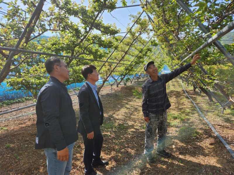 관련사진(거제시 원예분야 신기술 도입 시범사업장 현장방문) (2).jpg