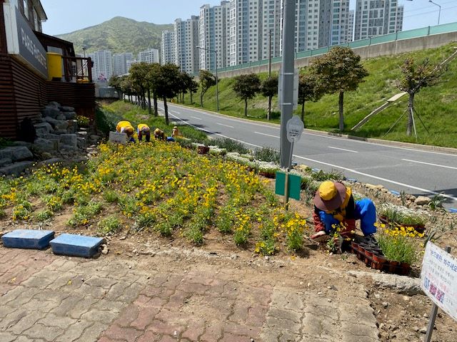 상문동, 푸른 상문동 가꾸기 실시(1).jpg