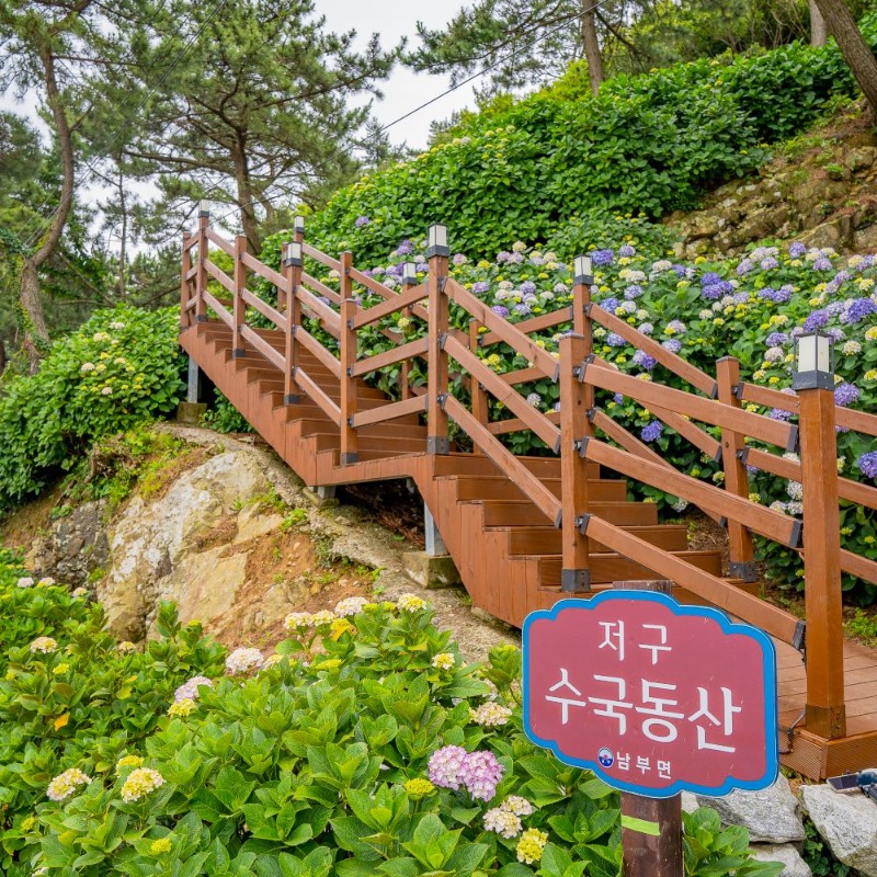 관련사진(제6회 남부면 수국축제 개최) (3).jpg