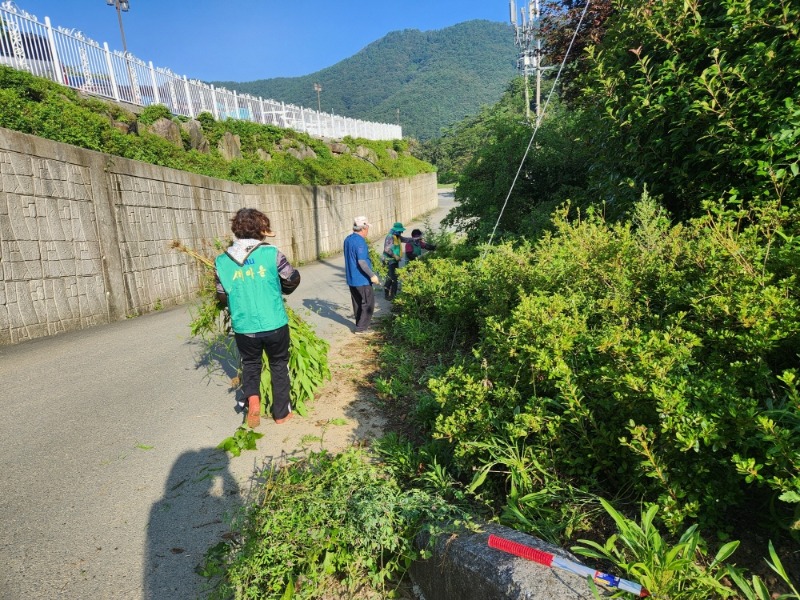 [크기변환]사진(수양동 주작골 소공원 환경정비).jpeg