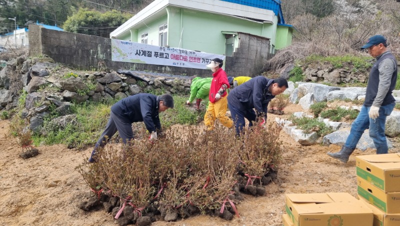 [크기변환]1-2. 관련사진(2024년 식목일 맞이 연초면 꽃동산, 꽃길 조성 1).jpg