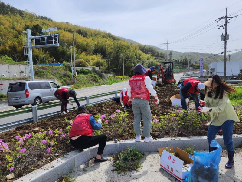 [크기변환]5-2. 관련사진(하청면 주민자치회, 와항마을 국도변 유휴지 일대 꽃심기 사업 추진) (1).jpg