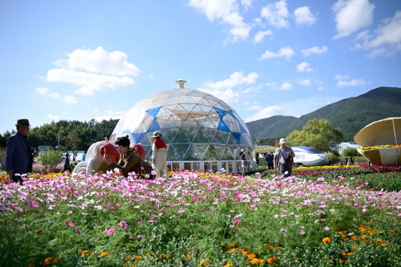 [크기변환]관련사진(꽃을 찾아 떠나는 치유여행 제18회 거제섬꽃축제 개막) (4).jpg