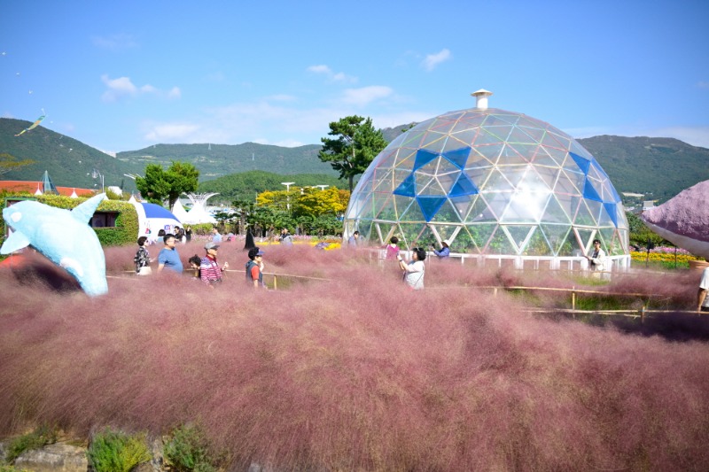 [크기변환]관련사진(꽃을 찾아 떠나는 치유여행 제18회 거제섬꽃축제 개막) (3).jpg