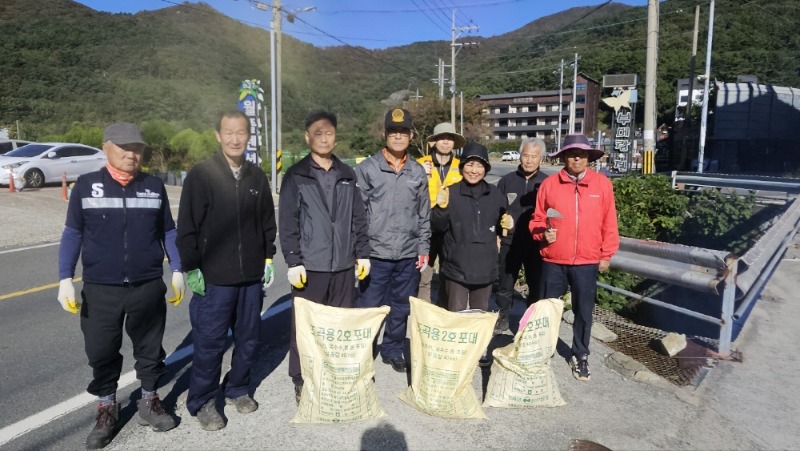 [크기변환]8-2. 관련사진(‘붉은 융단길’동부면 학동마을 꽃무릇 식재 1).jpg